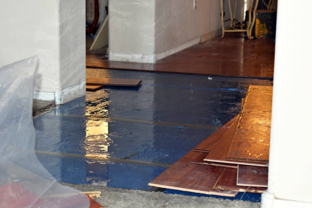 Professional Burst Pipe Cleanup technician working in Mcbrides, MI