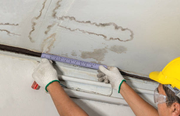Reliable Burst Pipe Cleanup contractor in Mcbrides, MI by Water Damage Irwin